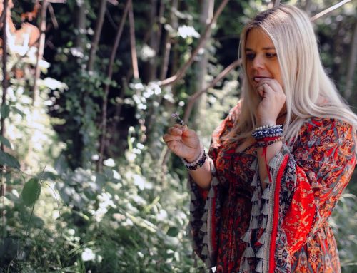 Foraging for Wellness