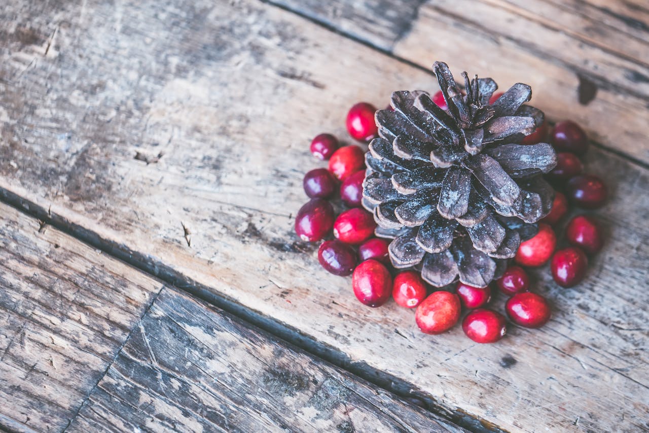 Pinecone Yule Decoration – Forgotten Forest Pinecone Yule Decoration - Forgotten Forest